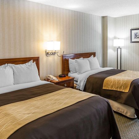 Comfort Inn Pentagon City Arlington Ngoại thất bức ảnh