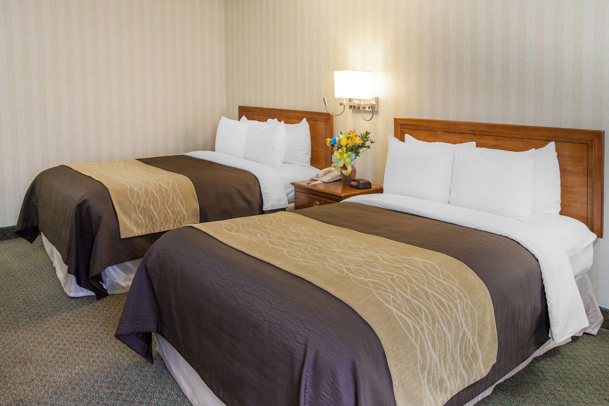 Comfort Inn Pentagon City Arlington Ngoại thất bức ảnh