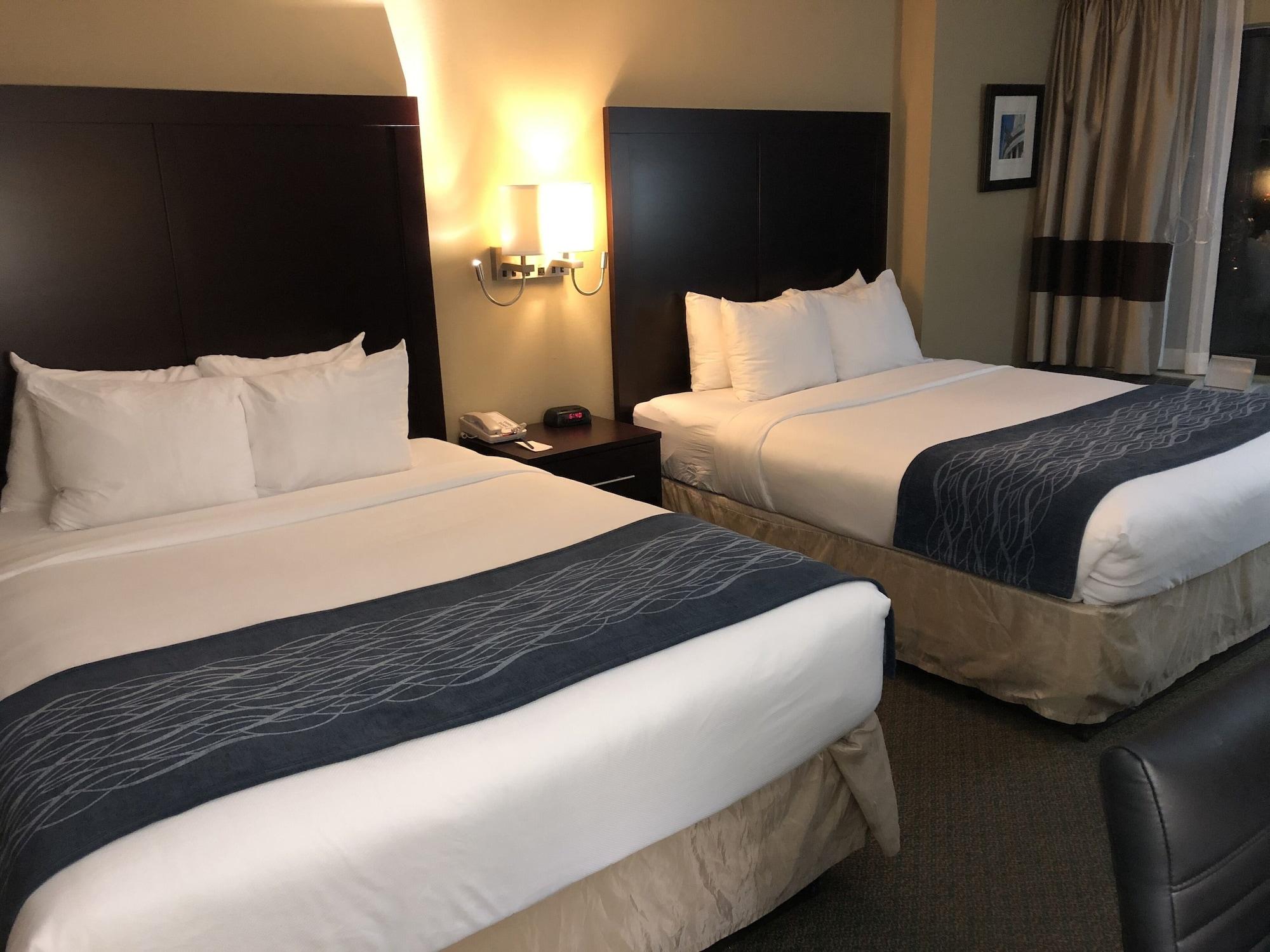 Comfort Inn Pentagon City Arlington Ngoại thất bức ảnh
